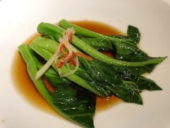 广东菜心-觀芷隐轩