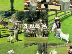 -龙岩森林水乡景区