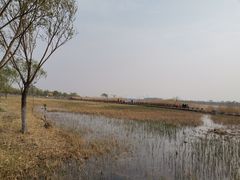-绿堤公园