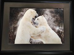 -罗红摄影艺术馆