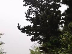 -终南山国家森林公园