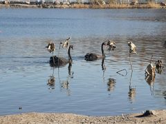 -长春市南湖公园