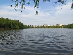 -东华大学(松江校区)