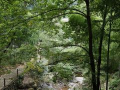 iphone_upload_pic-藏龙百瀑风景区