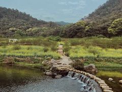 -广州市石门国家森林公园