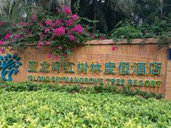 -三亚湾红树林度假世界(木棉酒店)