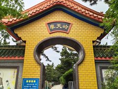 -摩天岭风景区