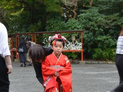 -鹤冈八幡宫