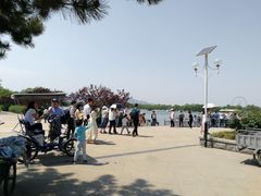 -石家庄市植物园