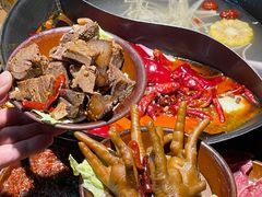 -阳阳老火锅(小南门店)