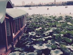 -济南大明湖景区