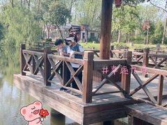 -合肥滨湖国家森林公园