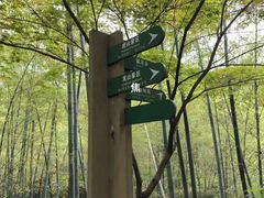 -杭州半山国家森林公园