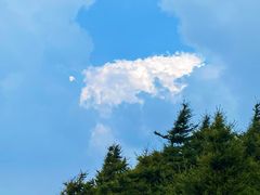 -白草畔自然风景区