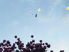 -海淀公园