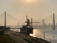 -奈雪的茶(金地广场店)