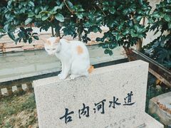 -锦溪古镇