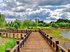 -呈贡滇池生态湿地公园