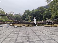 -融水老君洞景区