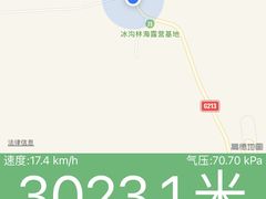 -冰沟林海