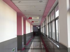 -上海市实验学校