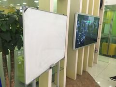 -美联英语(绿宝中心)