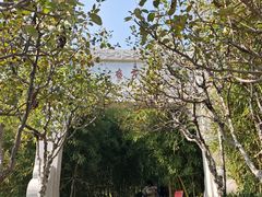 -竹子庵公园