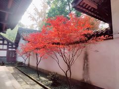 -成都杜甫草堂博物馆