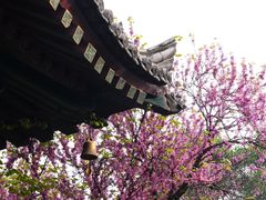 -西安市广仁寺
