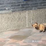 广州近市区最安静文艺的古村[吐]