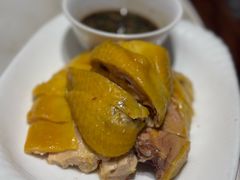 -老绍兴养和饭店(向阳不夜城店)