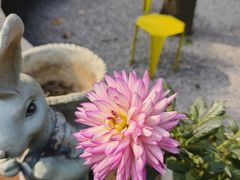 -谷咖啡·鲜花绿植花园餐厅