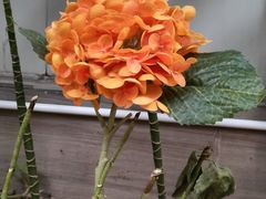 -花好悦园酒家(大石店)