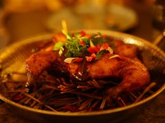 -Hi City·城市之巅