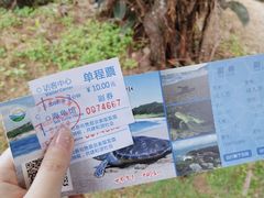-广东惠东海龟国家级自然保护区