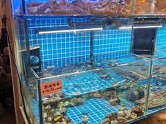 -涌觅名灶·本地海鲜宁波菜(财富广场店)