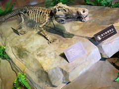 -自贡恐龙博物馆