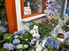 -花屿鲜花(淡水店)