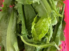 -15年老字号鑫鑫猪肚鸡·椰子鸡海南火锅(兴隆华侨农场店)