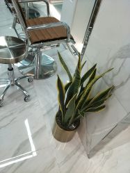 点击看大图 -潘多拉Hairsalon