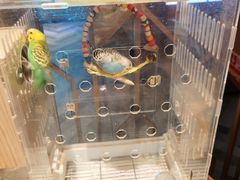 -御海8号温泉酒店