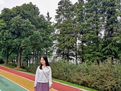 -贡湖湾湿地公园