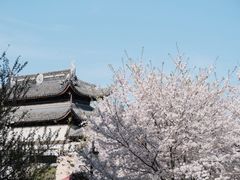 -苏州上方山国家森林公园