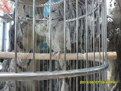 -鄂尔多斯野生动物园