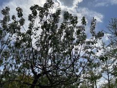 -野鸭湖国家湿地公园