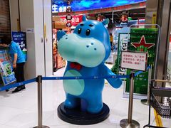 -盒马鲜生(金桥国际广场店)