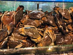 -Isla Sugbu Seafood City