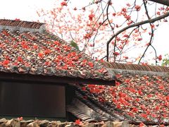 -喜洲吧·江畔老船厂·庭院餐厅(喜临院店)