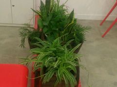 -蕃茄田艺术•美术绘画 •硬笔书法(滨江海威领界店)