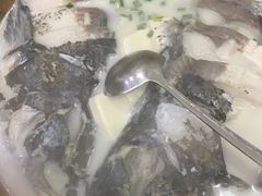 -全乐鱼馆·淳牌有机鱼直营店